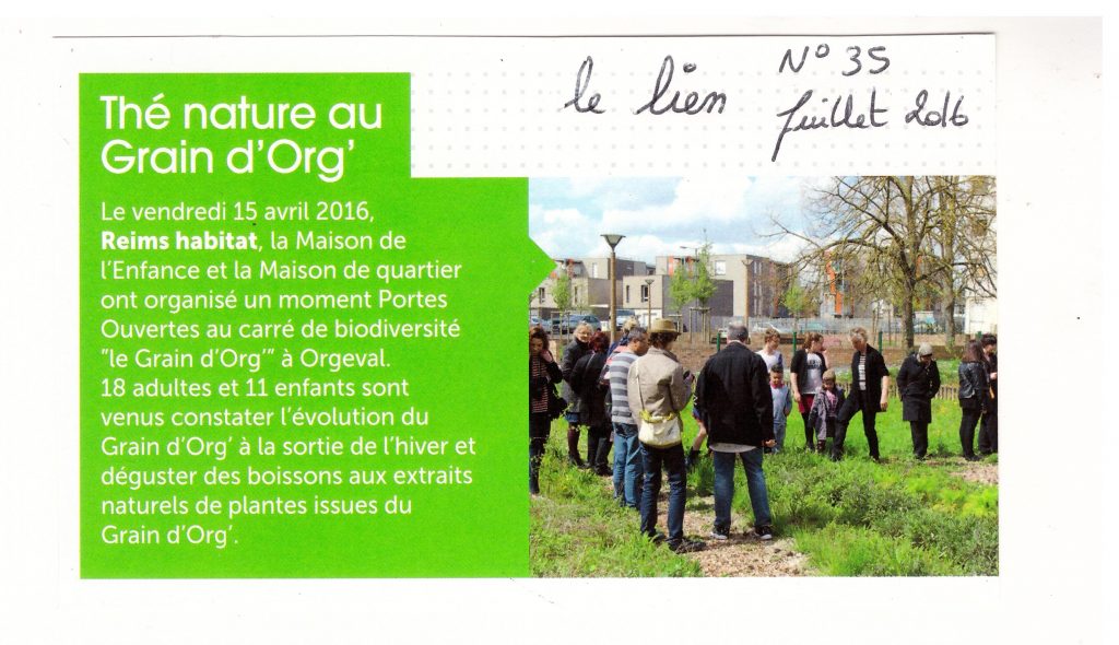 thé nature au grain d'org' - le lien - juillet 2016