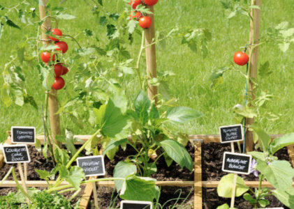 MDQ ORGEVAL & LE POTAGER