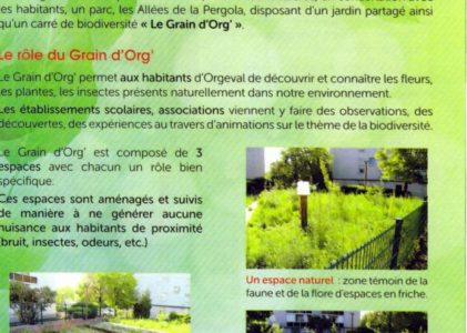 GRAIN D’ORG : TOUTE UNE GALERIE NATURE ET SAVOIRS