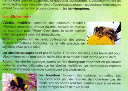 GRAIN D’ORG : LIVRET PEDAGOIQUE suite