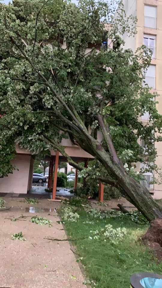 Orage et dégâts à Orgeval