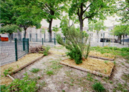 Et c’est alors que Ruby Rhod dit : « Super green ! »