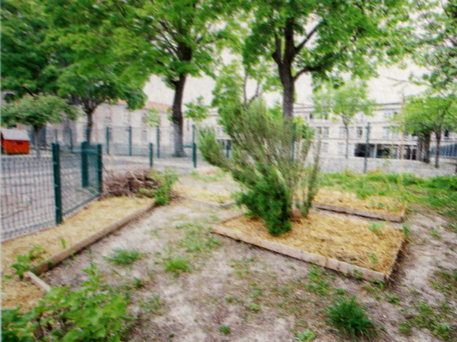 Et c’est alors que Ruby Rhod dit : « Super green ! »